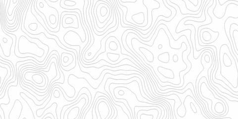 White topography topology vector white background fresh contour map texture. white seamless pattern Abstract background with a wave Topography and geography map grid abstract backdrop.
