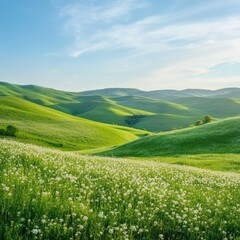 Fototapeta premium Rolling green hills and white wildflowers creating a stunning landscape