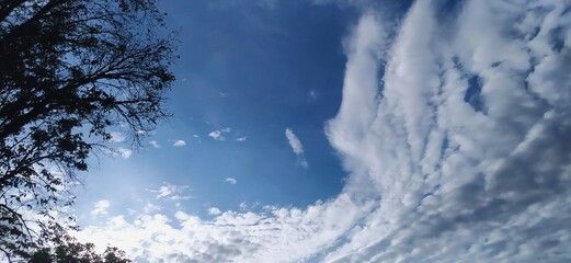 blue sky landscape framed by white clouds and shady trees