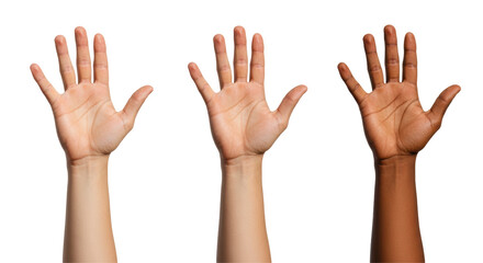 Isolated Diverse Hands