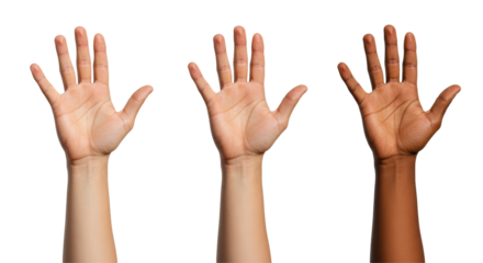 Isolated Diverse Hands