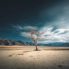 Fototapeta premium A Solemn Lone Tree in a Barren Landscape: Symbolizing Perseverance and Isolation Under Dramatic Cloudy Skies, captured in a Wide Angle Shot with Striking Lighting and Textures