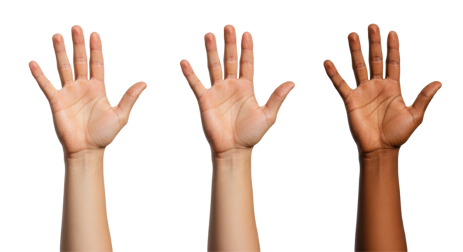 Isolated Diverse Hands