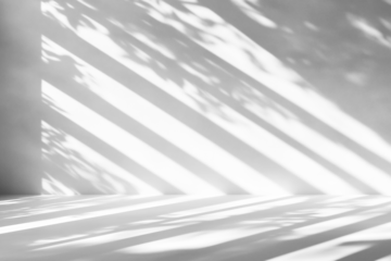 shadow overlay effects of realistic window and tree branch shadow with light blur on transparent background,Summer sunlight and shadow overlay effect