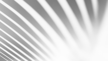 shadow overlay effects of realistic palm leaf shadow with light blur on transparent background,Summer sunlight and shadow overlay effect