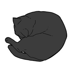 丸まりながら寝ている黒猫