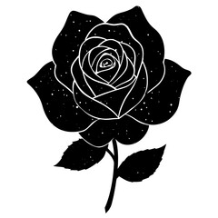  valentine black rose vector illustration