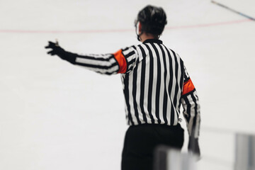 Hockey match game on ice rink arena stadium, team of ice hockey professional players with coach,...