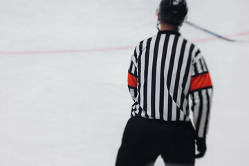 Hockey match game on ice rink arena stadium, team of ice hockey professional players with coach,...