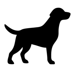 Labrador Retriever Dog collection silhouette black vector on white background. labrador retriever dog silhouette in different positions isolated on white background. 