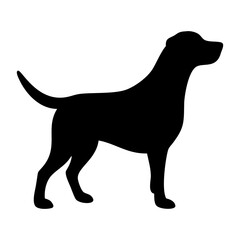 Labrador Retriever Dog collection silhouette black vector on white background. labrador retriever dog silhouette in different positions isolated on white background. 