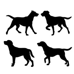 Labrador Retriever Dog collection silhouette black vector on white background. labrador retriever dog silhouette in different positions isolated on white background. 