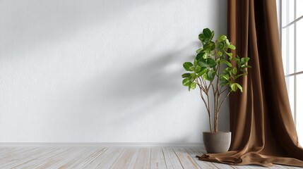 Potted plant in minimal room