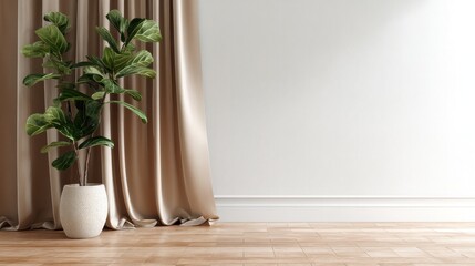 Fiddle leaf fig in pot near beige curtain