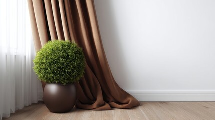 Fototapeta premium Green plant in brown pot near curtain