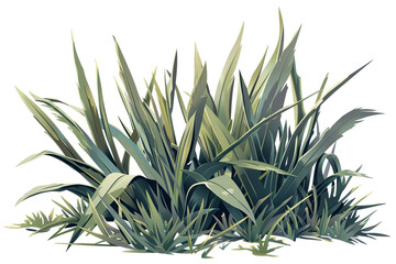 Obraz premium Lush clumps of green grass and foliage with a detailed leaf texture, isolated on a plain background