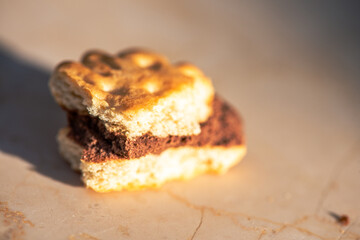 Macro Photo of a Biscuit Under the Sun
