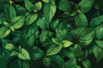 Fototapeta premium Green leaves background design.Flat lay.Top view of leaf.Nature concepts
