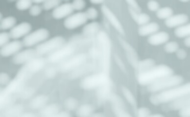 Tree shadow and light of leaf branch background. Nature leaves tropical jungle tree branch dark shadows and light from sunlight on wall texture for background wallpaper design, shadow overlay effect 