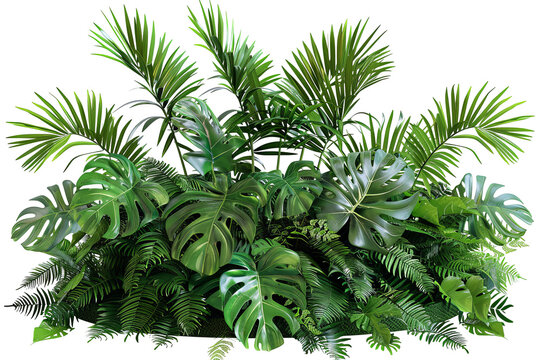 Lush, green tropical foliage palms, monstera and ferns create a vibrant, dense arrangement against a transparent background - Powered by Adobe