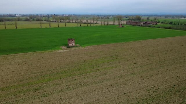 Dal drone pianura Padanacon terre seminate a grano, primavera, verde, strade di campagna, viali di alberi, Bosco Marengo, Alessandria, Piemonte, Italia