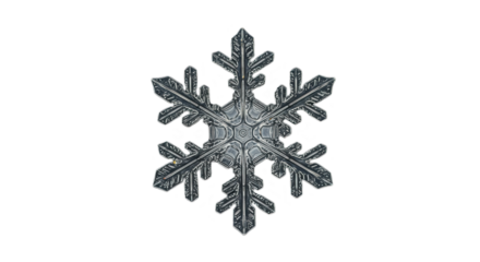 Isolated Snowflake