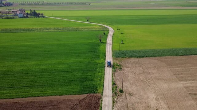 Dal drone pianura Padanacon terre seminate a grano, primavera, verde, strade di campagna, viali di alberi, Bosco Marengo, Alessandria, Piemonte, Italia