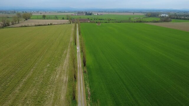 Dal drone pianura Padanacon terre seminate a grano, primavera, verde, strade di campagna, viali di alberi, Bosco Marengo, Alessandria, Piemonte, Italia