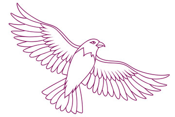Stylized Eagle Line Art Illustration Of A Bird In Flight With Open Wings