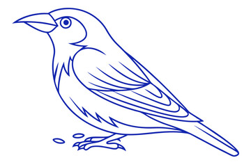 Elegant Blue Outline Bird Illustration Isolated On White Background Vector Design