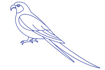 Line Art Parrot With Long Tail Vector Illustration On White Background