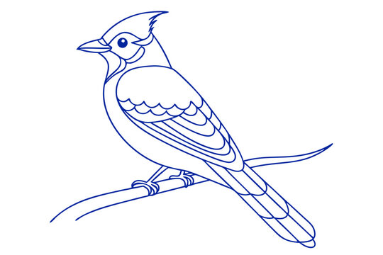 Elegant Blue Jay Line Art Illustration Perched On Branch Simple Design