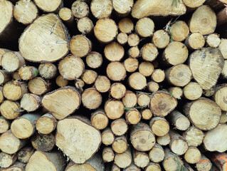 A pile of wood logs stacked on top of each other