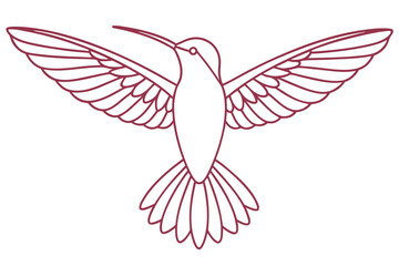 Elegant Hummingbird Outline With Open Wings Minimalist Vector Illustration Design