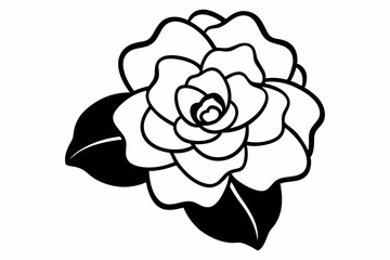 begonia line art vector illustration black and white