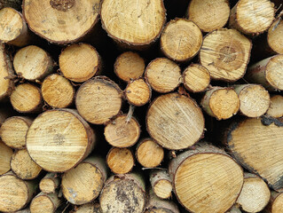 A pile of wood logs stacked on top of each other