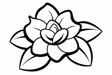 gardenia line art vector illustration black and white