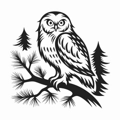owl on white background