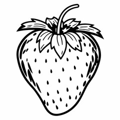 vector illustration of an apple