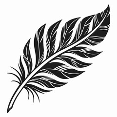 Obraz premium feather vector illustration