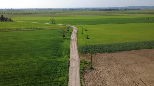 Dal drone pianura Padanacon terre seminate a grano, primavera, verde, strade di campagna, viali di alberi, Bosco Marengo, Alessandria, Piemonte, Italia