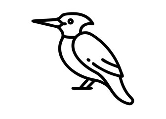 Fototapeta premium woodpecker. bird animal icon.