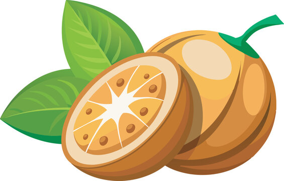 orange fruit with green leaves clip art preview