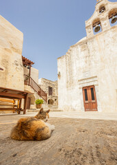 Cat in foreground of Church at Monastery of St. John the Theologian, known as Monastery of Preveli (rebuilt in 1878). Crete, Greece.