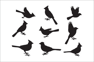 Bird Silhouette Bundle | Flying Birds Vector Clipart | SVG, PNG, EPS for Cricut & Laser Cutting

Birds Vector Silhouettes | Wildlife Animal SVG Files | Digital Bird Clipart for Crafts & Decor

Flying 