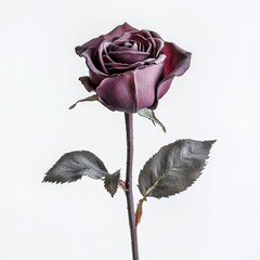 Elegant Black and Purple Rose with Detailed Petals and Leaves