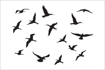 Bird Silhouette Bundle | Flying Birds Vector Clipart | SVG, PNG, EPS for Cricut & Laser Cutting

Birds Vector Silhouettes | Wildlife Animal SVG Files | Digital Bird Clipart for Crafts & Decor

Flying 