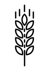 Wheat vector icon design illustration. Oat symbol .Agriculture concept. Ears of Wheat, Barley or Rye vector visual graphic icon, ideal for bread packaging, beer labels etc on white background.