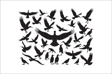 Bird Silhouette Bundle | Flying Birds Vector Clipart | SVG, PNG, EPS for Cricut & Laser Cutting

Birds Vector Silhouettes | Wildlife Animal SVG Files | Digital Bird Clipart for Crafts & Decor

Flying 