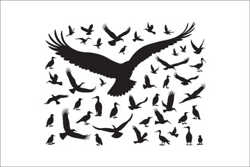 Bird Silhouette Bundle | Flying Birds Vector Clipart | SVG, PNG, EPS for Cricut & Laser Cutting

Birds Vector Silhouettes | Wildlife Animal SVG Files | Digital Bird Clipart for Crafts & Decor

Flying 